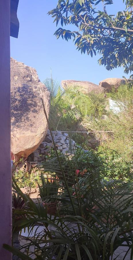 Hearthspace Hampi - Small Home, A Low-Impact Backpackers Hostel 外观 照片