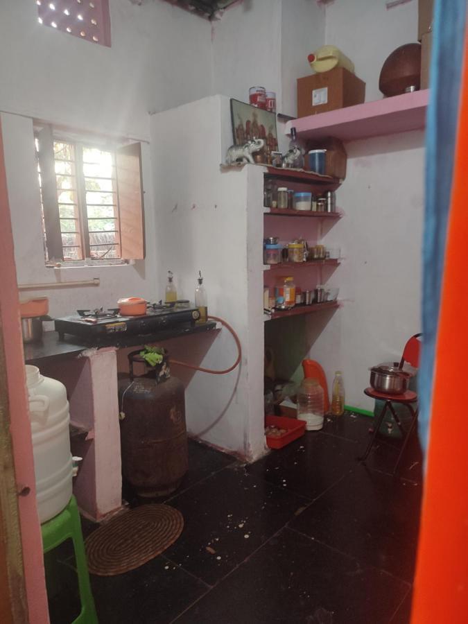Hearthspace Hampi - Small Home, A Low-Impact Backpackers Hostel 外观 照片